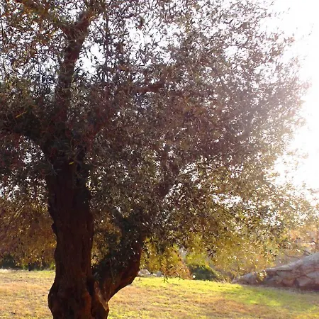 Locazione Turistica Girasole בית נופש Joppolo